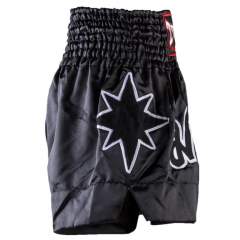 Twins Thai Boxing Shorts